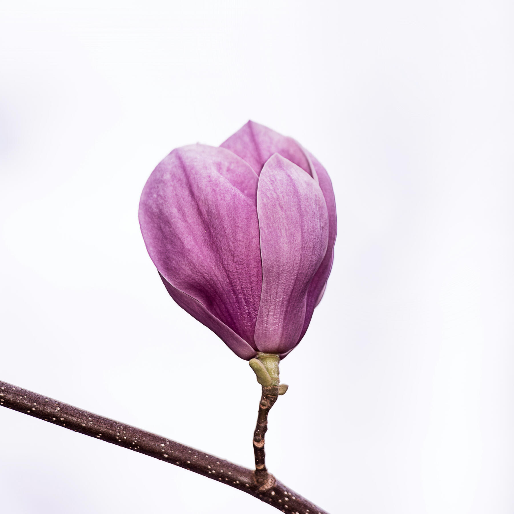 reflexología en Terrassa