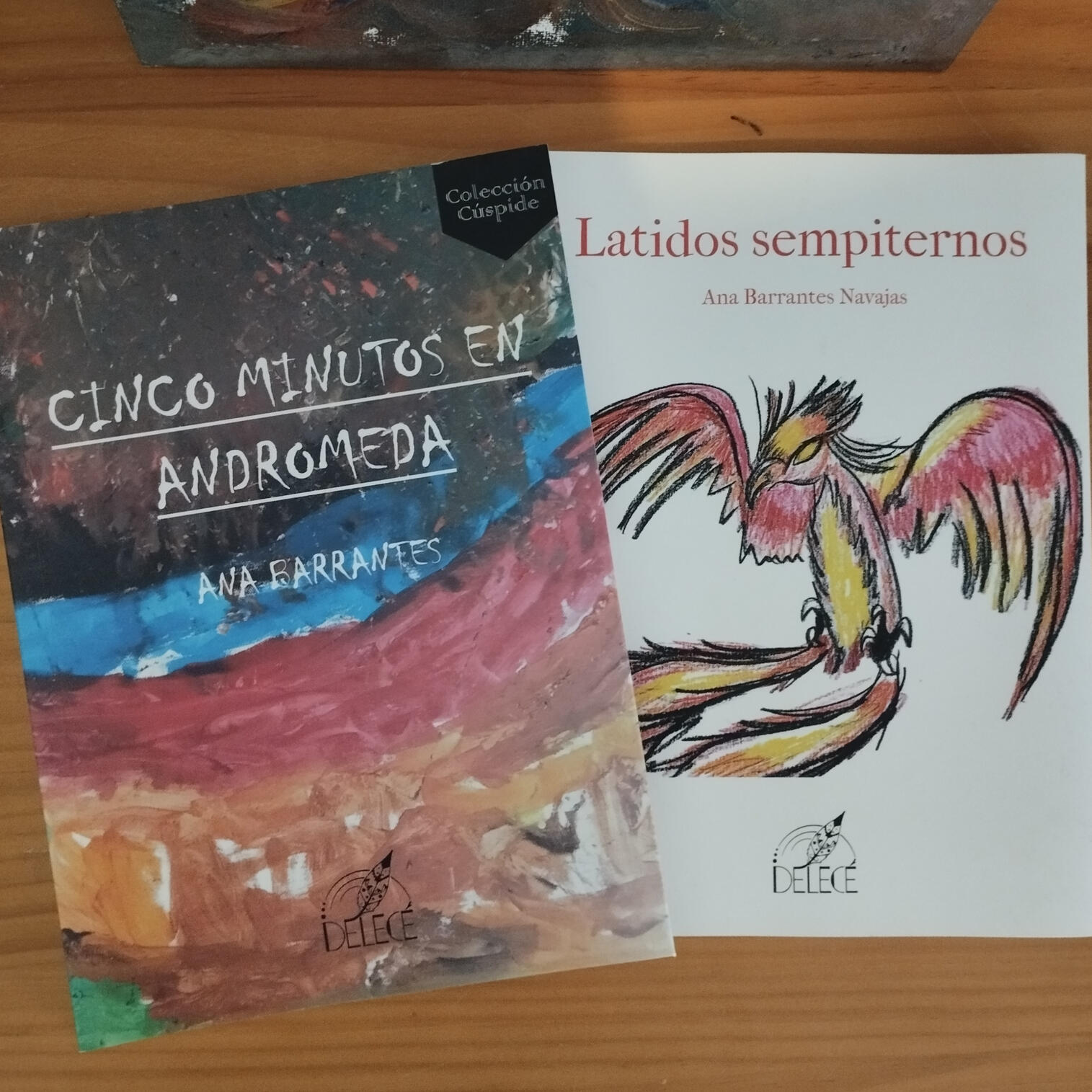 libros Ana Barrantes
